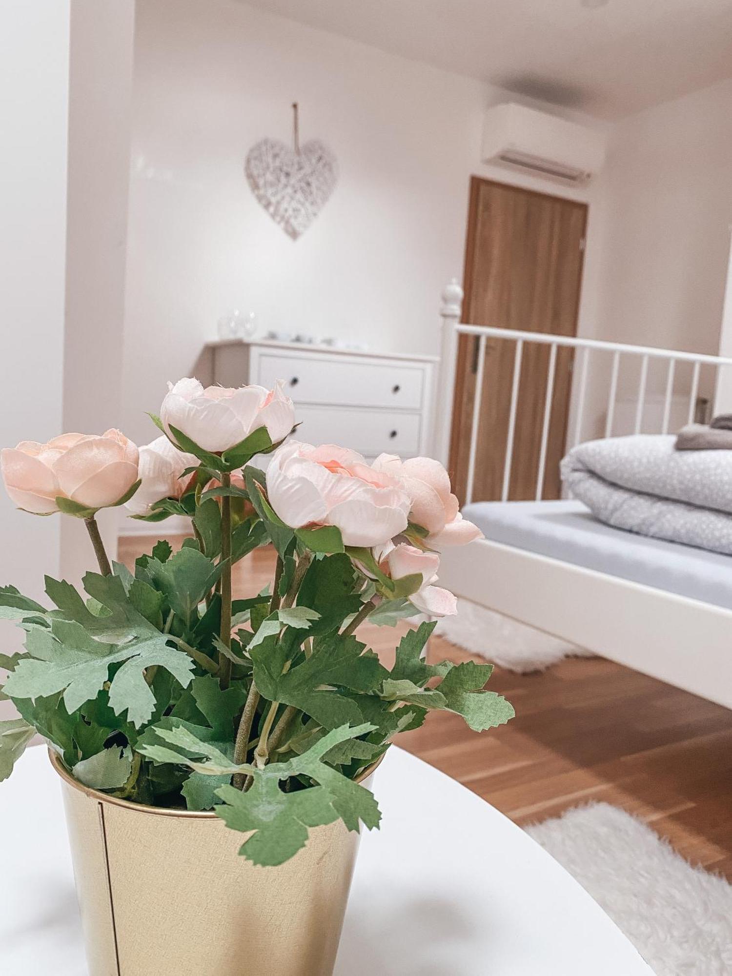 Blue Lotus Apartments براتسيلافا المظهر الخارجي الصورة